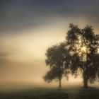 Der Herbst lässt grüßen