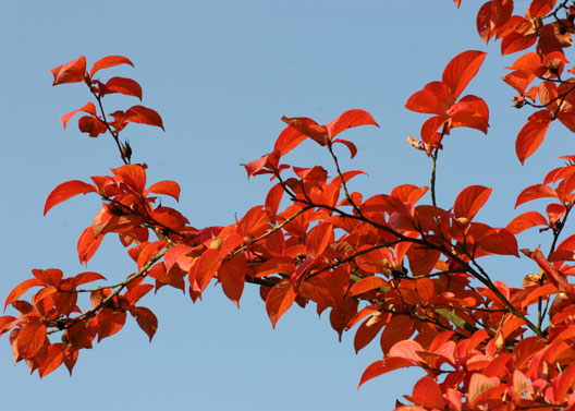 Der Herbst lässt grüßen