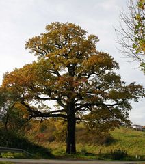 der Herbst lässt grüßen