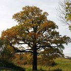 der Herbst lässt grüßen