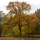 Der Herbst läßt grüßen...