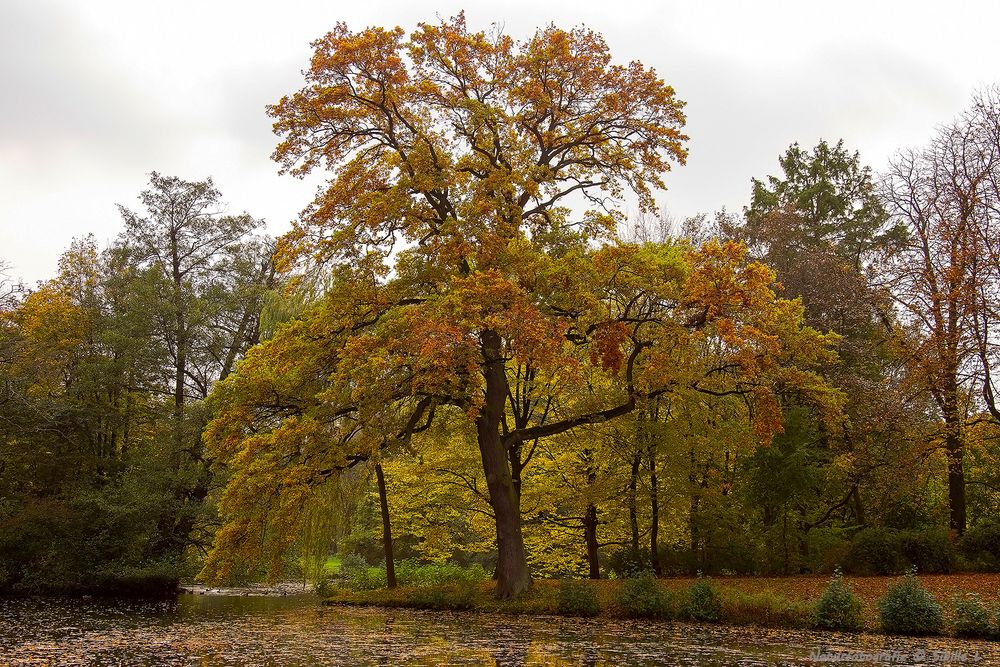 Der Herbst läßt grüßen...