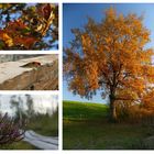 Der Herbst lässt grüßen