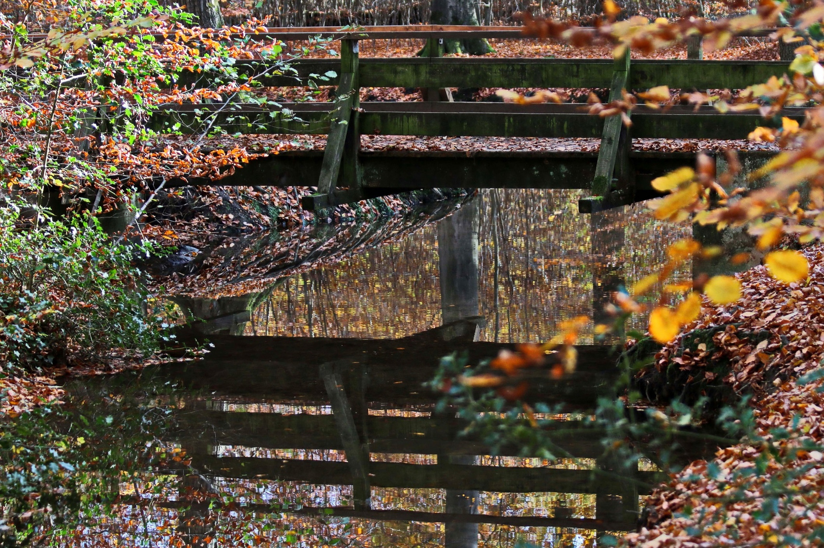 der Herbst läßt grüßen