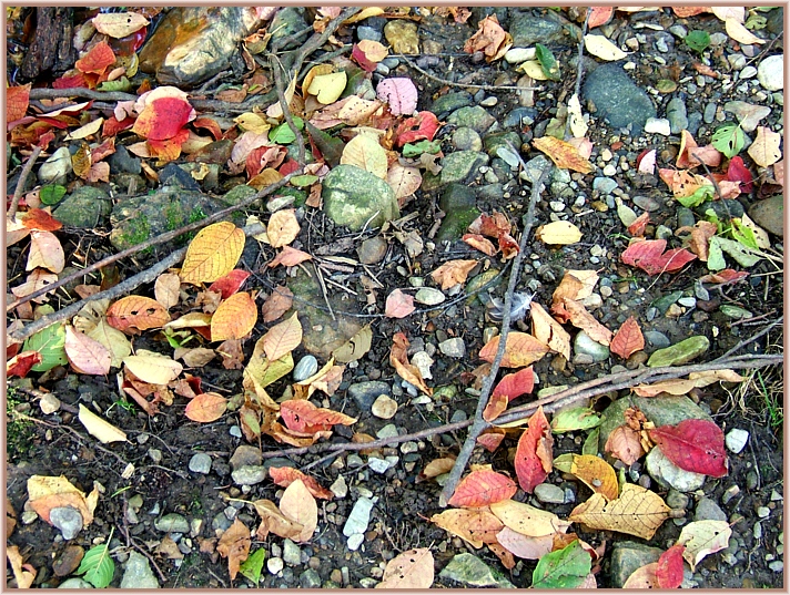 Der Herbst läßt Grüssen.