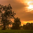 Der Herbst läßt grüßen .........