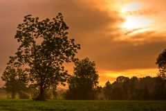 Der Herbst läßt grüßen .........