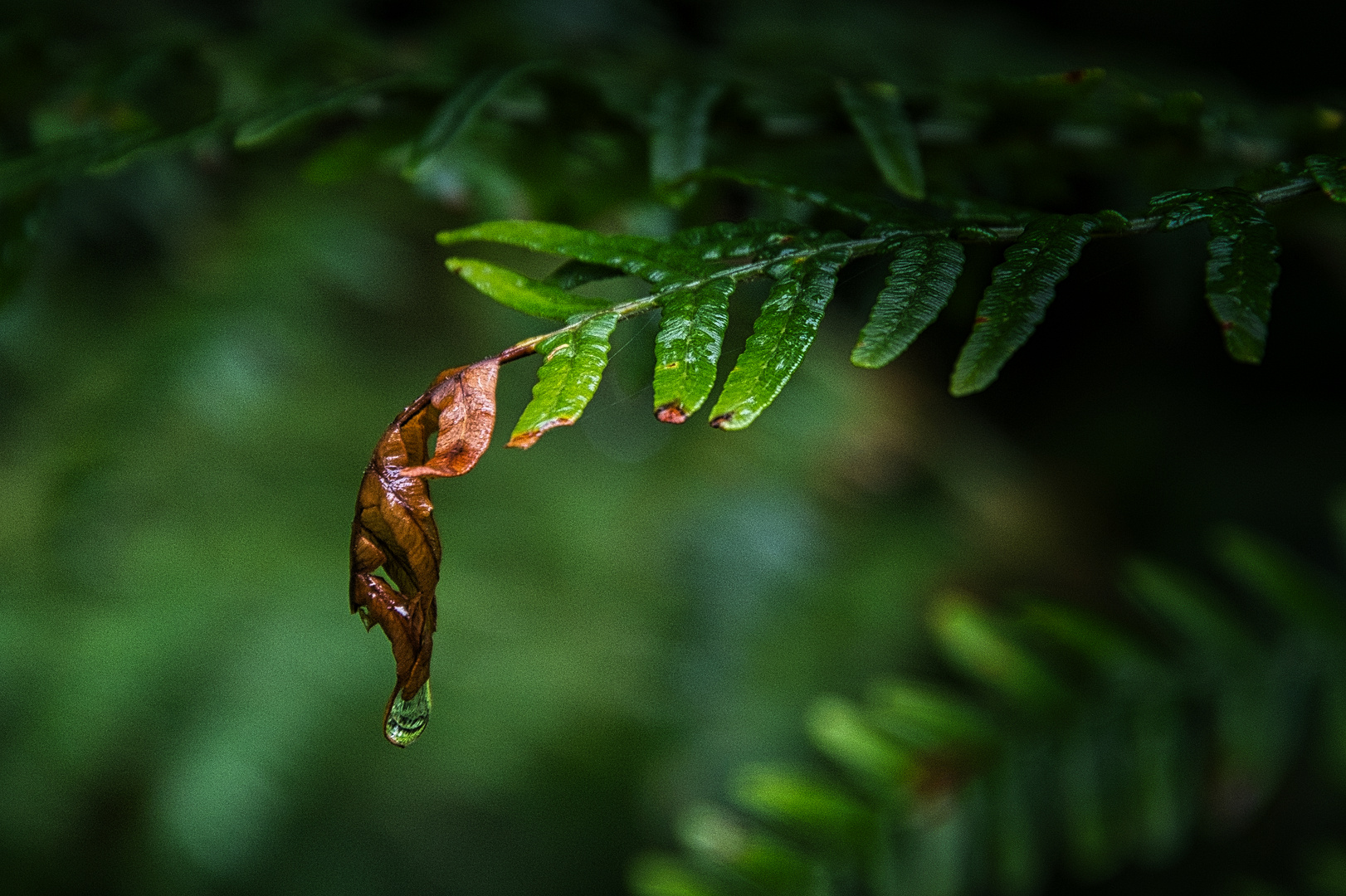 Der Herbst lässt grüßen