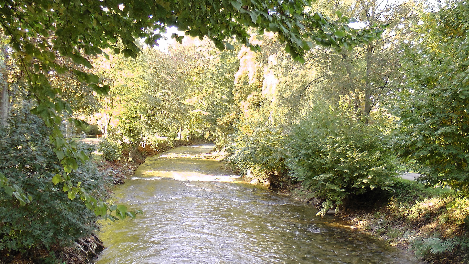 Der Herbst lässt grüßen