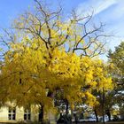 der Herbst lässt grüßen