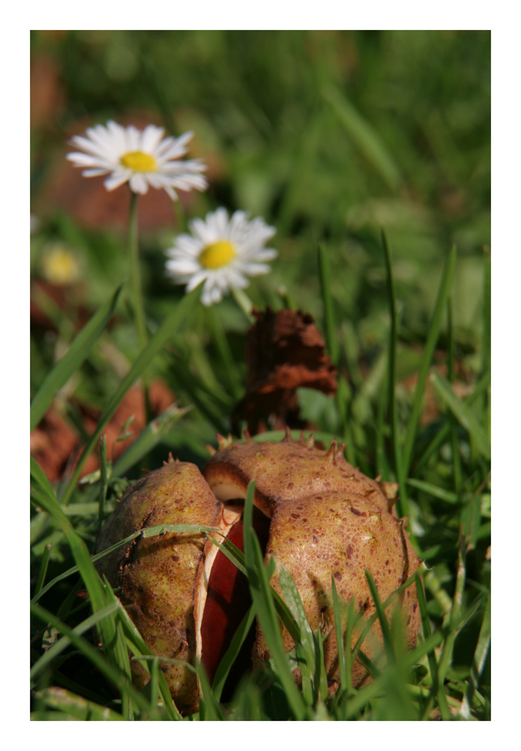 Der Herbst lässt grüßen!