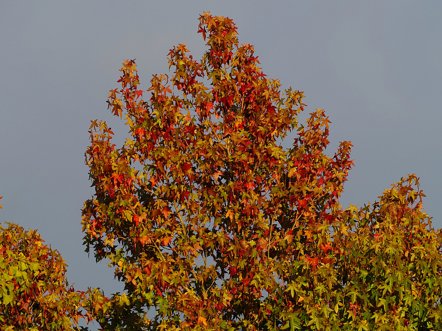 der Herbst lässt grüßen