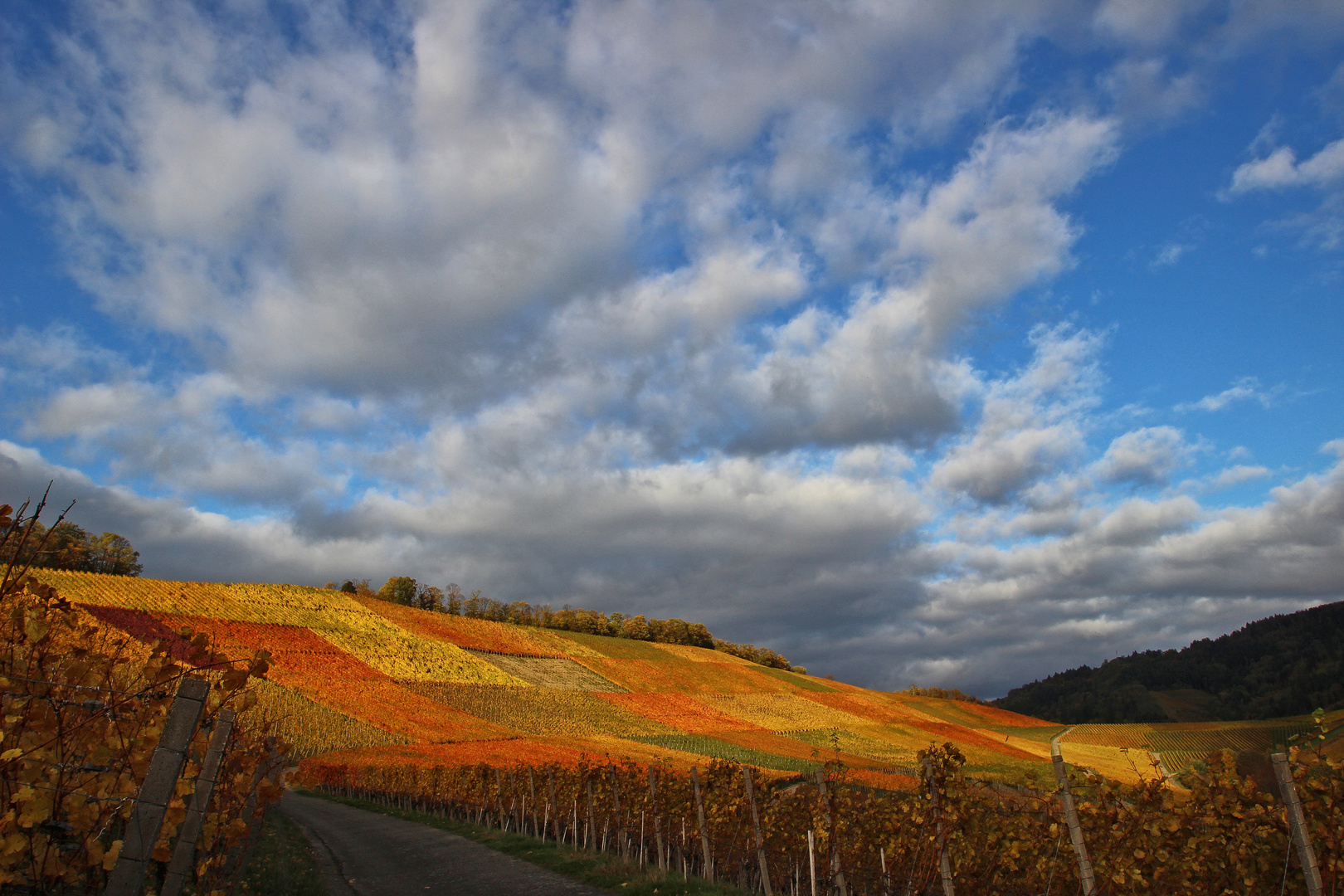 Der Herbst läuft auf Hochtouren.