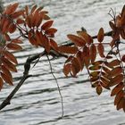 der herbst laßt grüßen