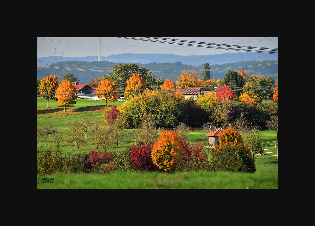 Der Herbst legt los...