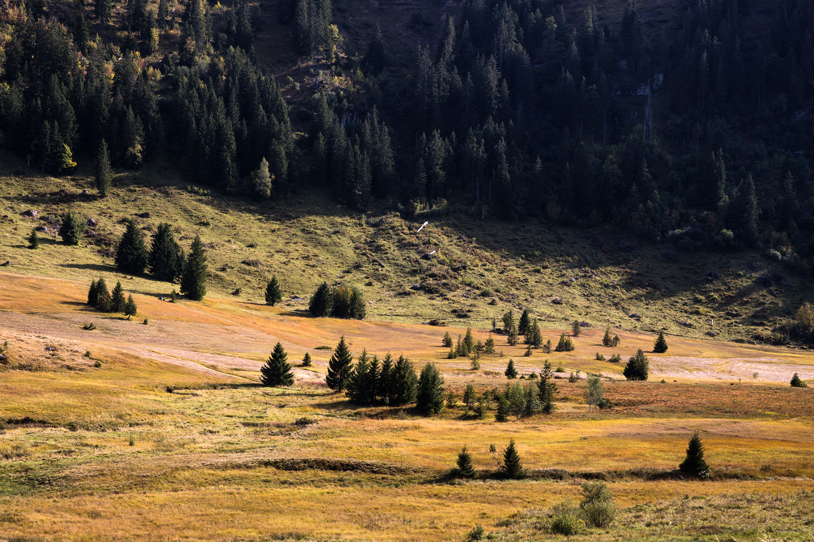 Der Herbst legt sich übers Land