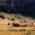 Der Herbst legt sich übers Land