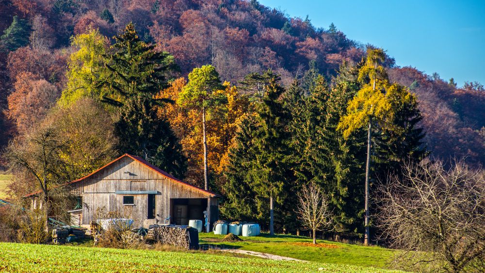 Der Herbst leuchtet