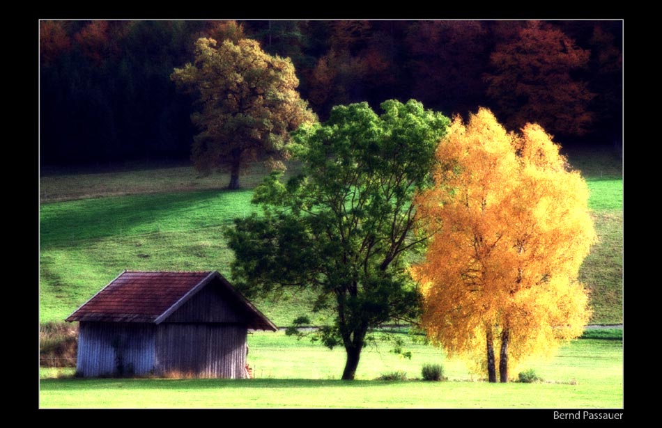 Der Herbst lößt sich nicht mehr aufhalten ...