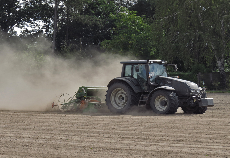 Der Herbst macht auch Arbeit