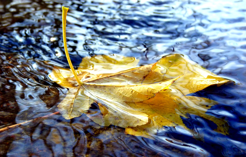 Der Herbst macht sich auf den Weg...