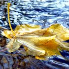 Der Herbst macht sich auf den Weg...