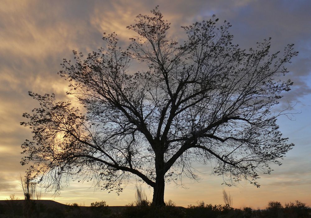 Der Herbst macht Stimmung ...