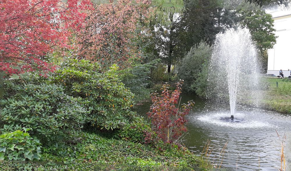 Der Herbst mahlt die Blätter bunt...