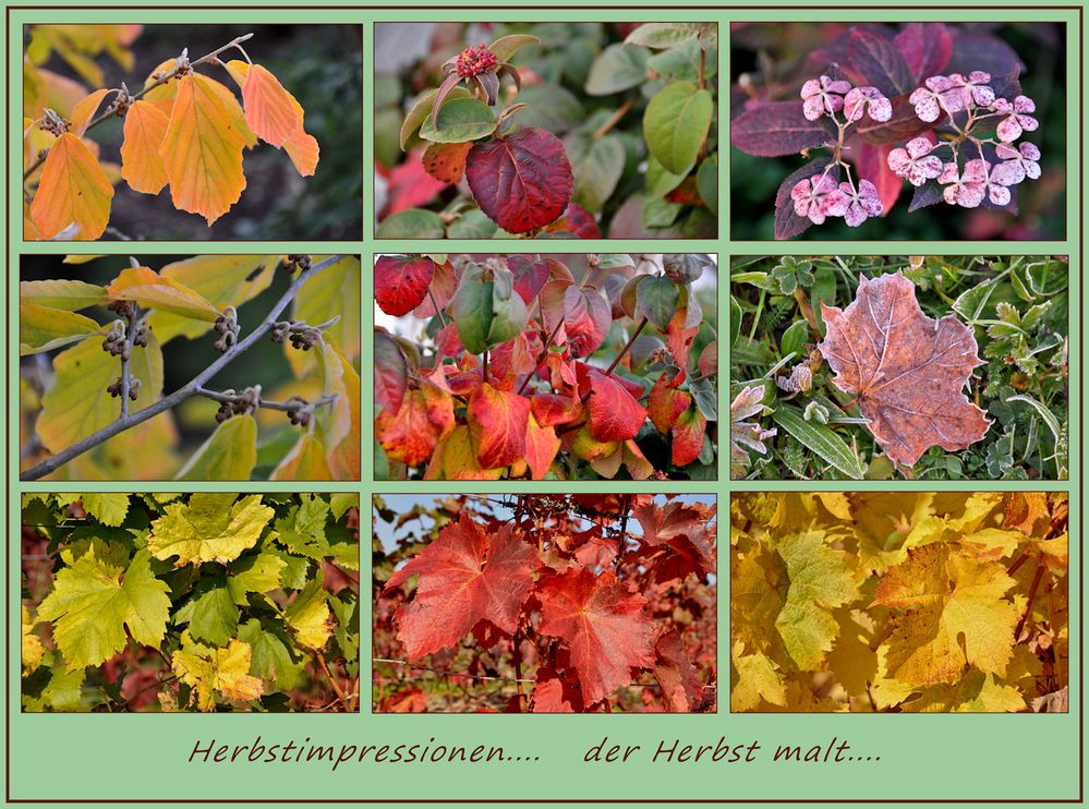 der Herbst malt.....