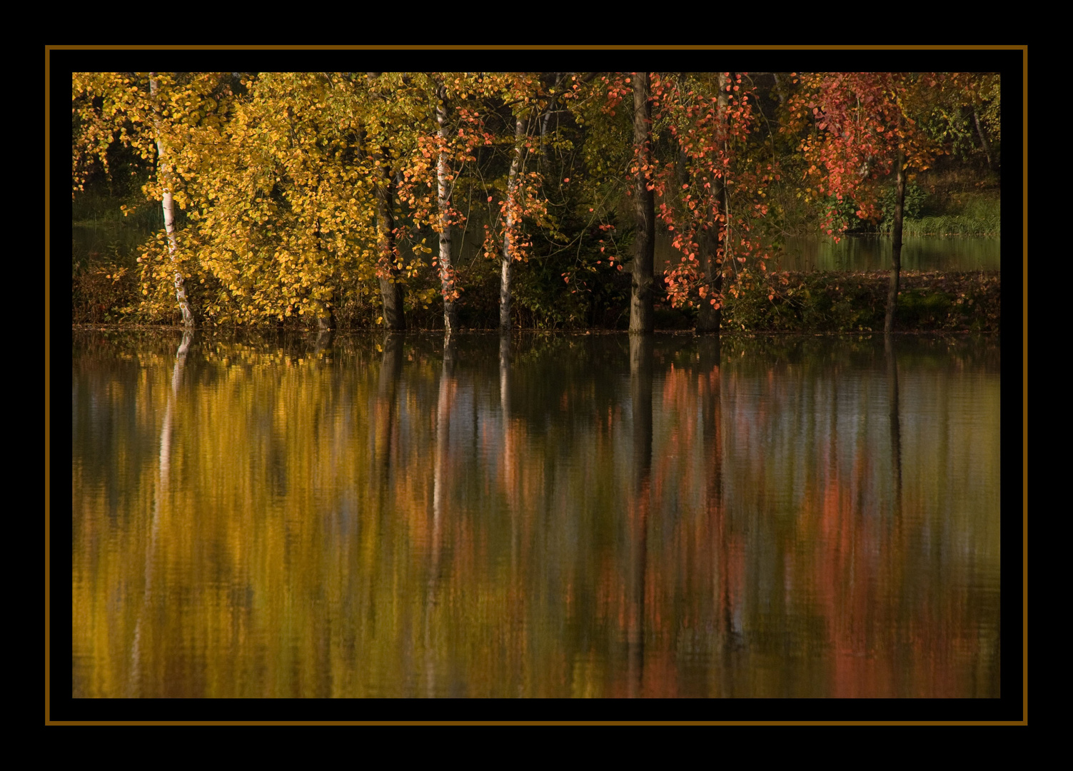 "Der Herbst malt die schönsten Bilder"...