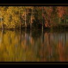 "Der Herbst malt die schönsten Bilder"...