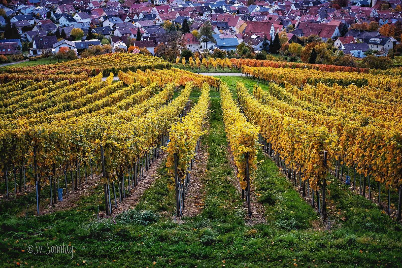 Der Herbst malt die schönsten Farben