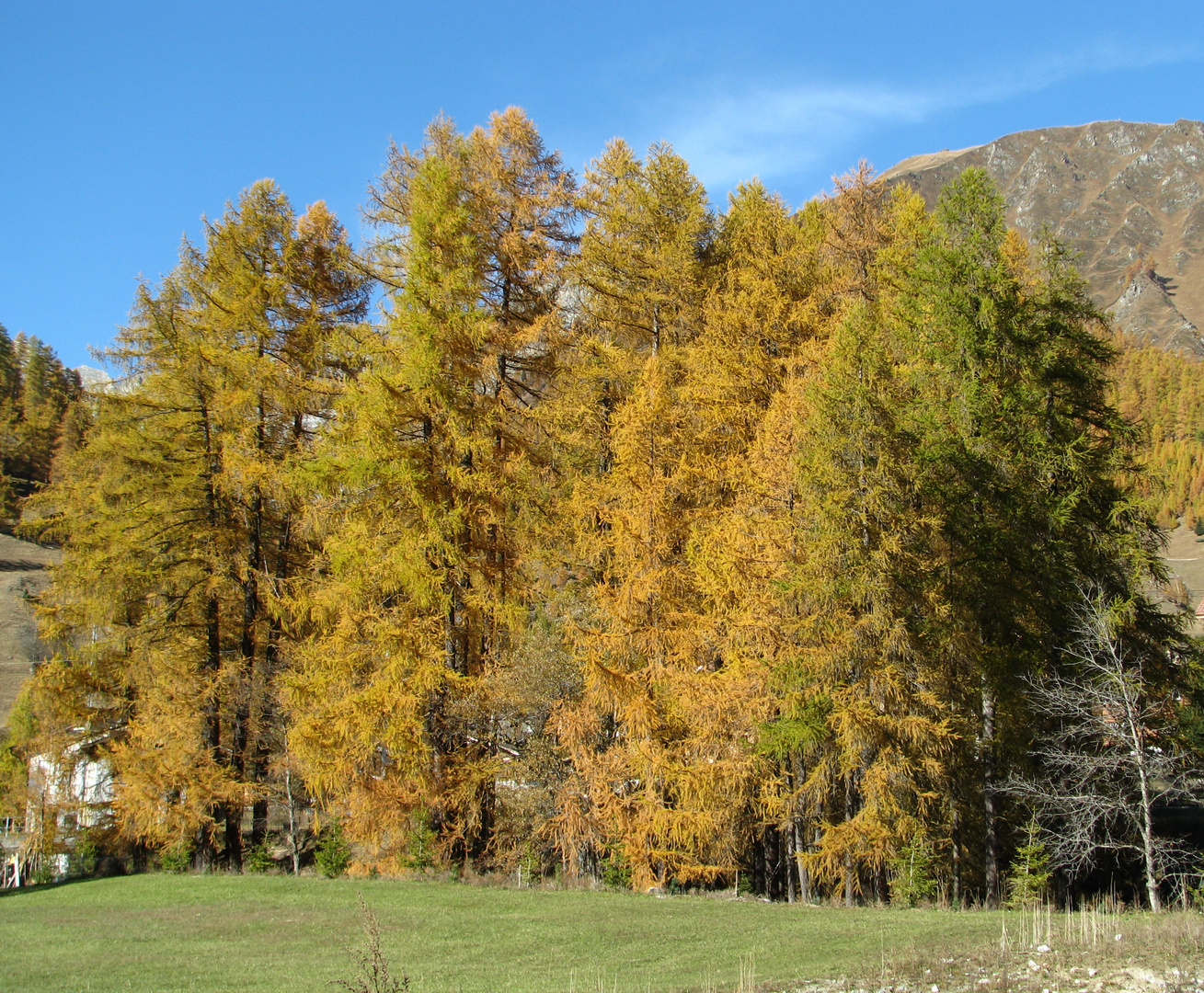 Der Herbst malt mit all seinen Farben....