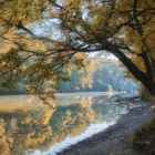 Der Herbst - meine Lieblingsjahreszeit