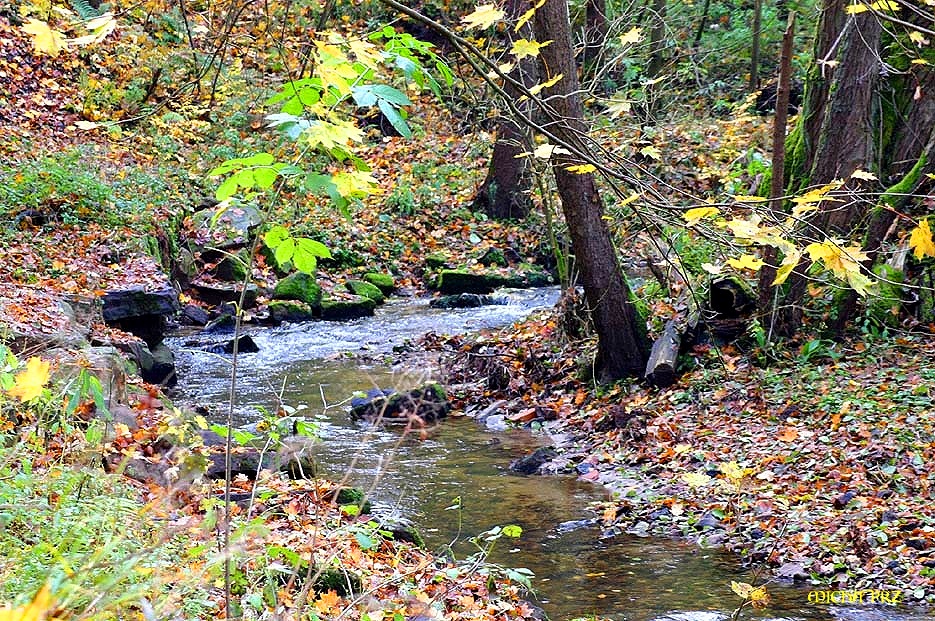 der Herbst meldet sich mit Macht an