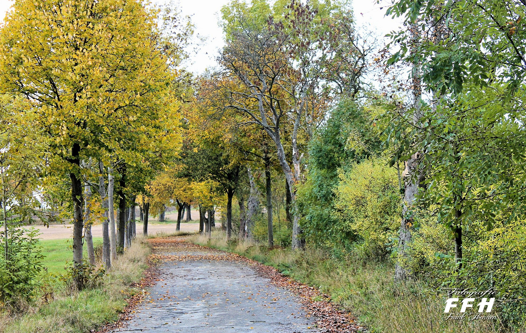 Der Herbst mir seiner wundervollen Farbenpracht.