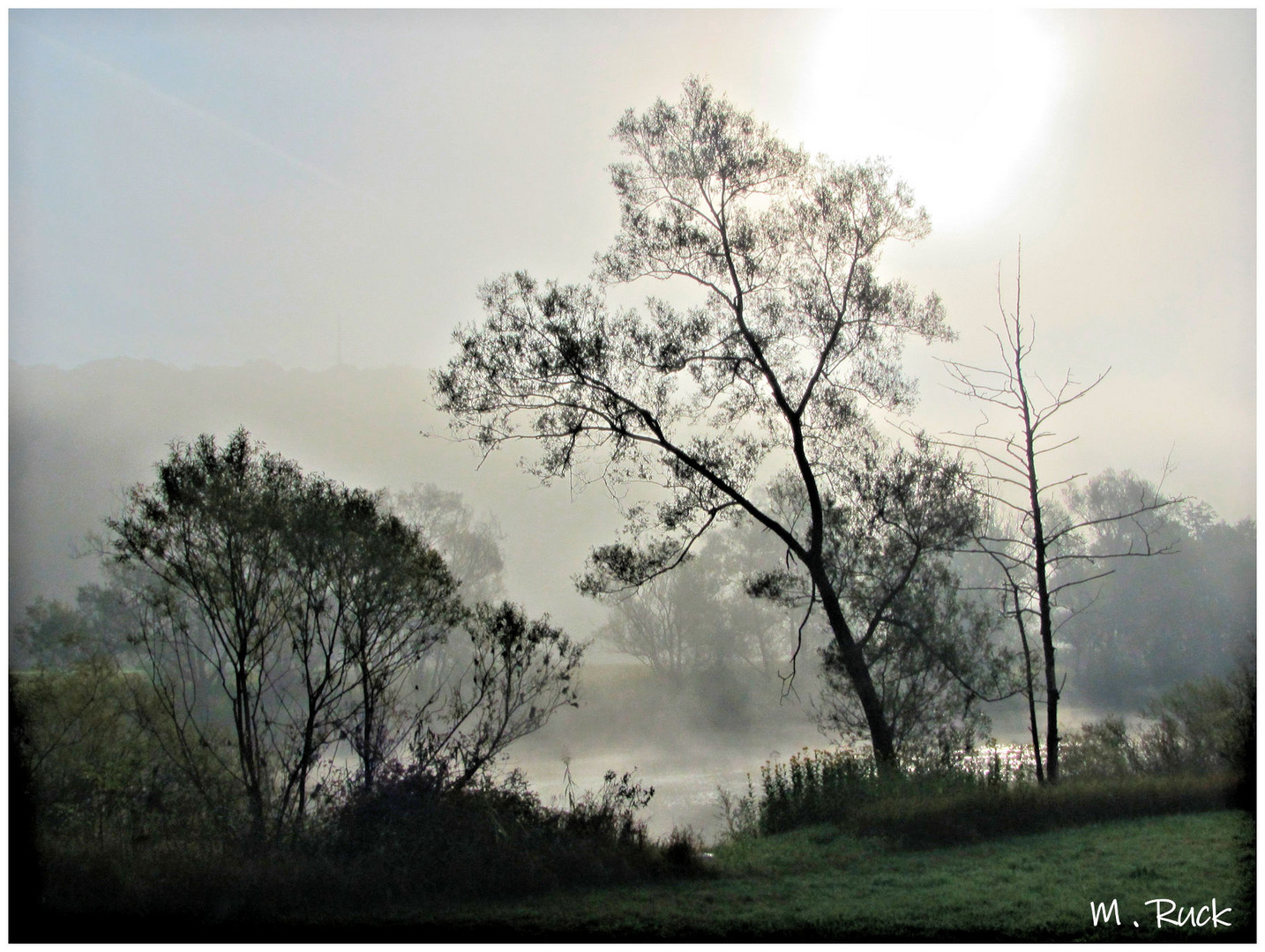 Der Herbst mit seinen nebeligen Tagen 