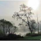 Der Herbst mit seinen nebeligen Tagen 