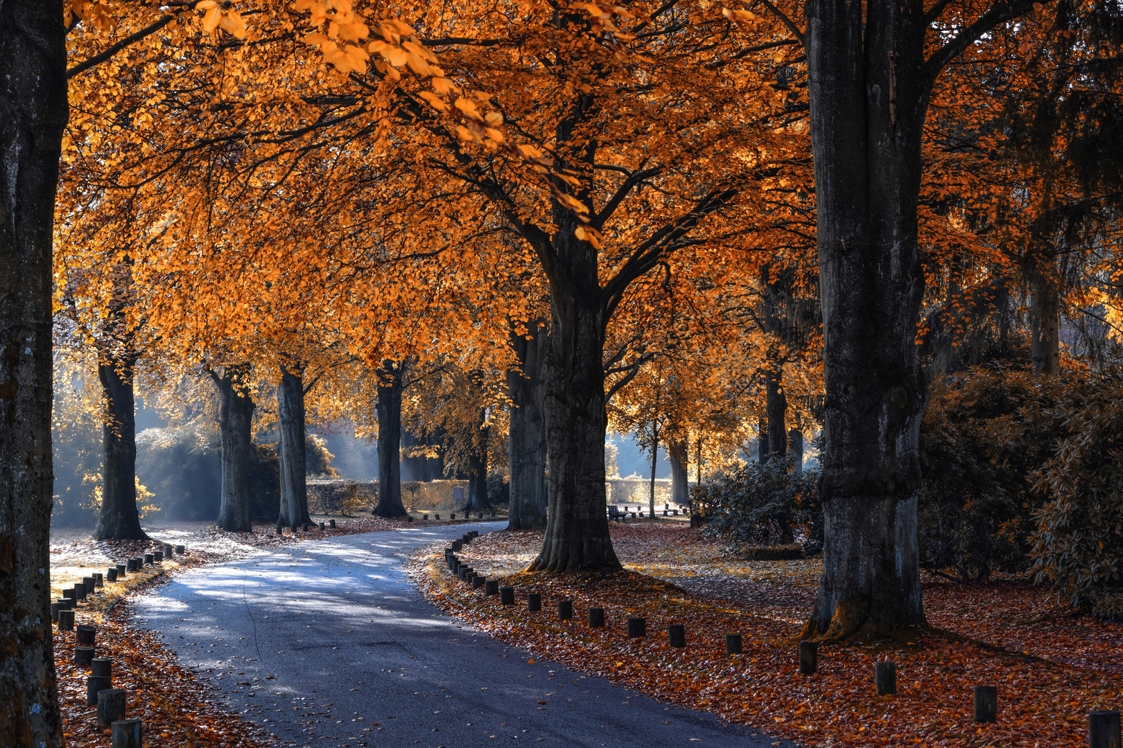 Der Herbst mit seinen prächtigen Farben