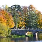 Der Herbst mit seinen schönen Farben