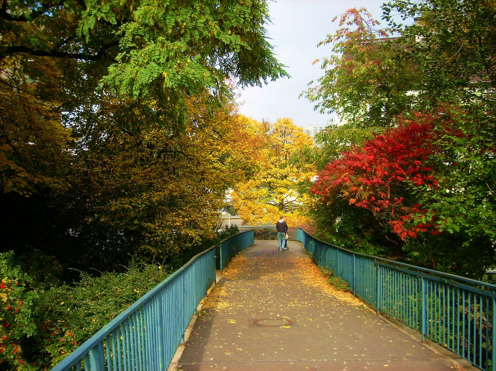 Der Herbst mit seiner bunten Pracht..