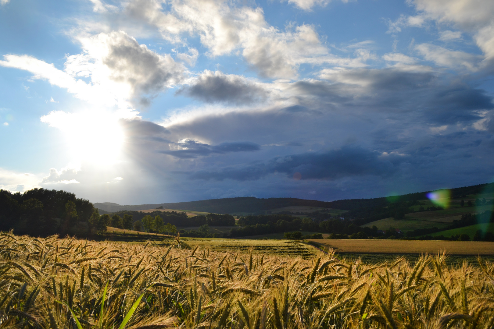 Der Herbst mitten im Juli