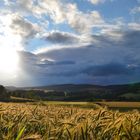 Der Herbst mitten im Juli