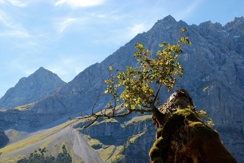 der Herbst naht