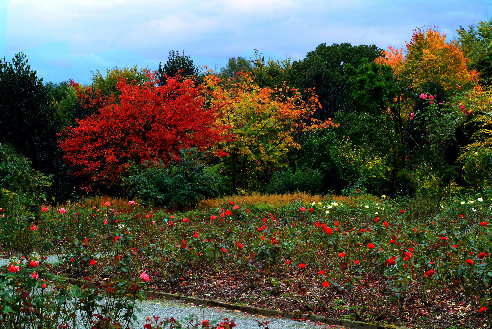 Der Herbst naht.