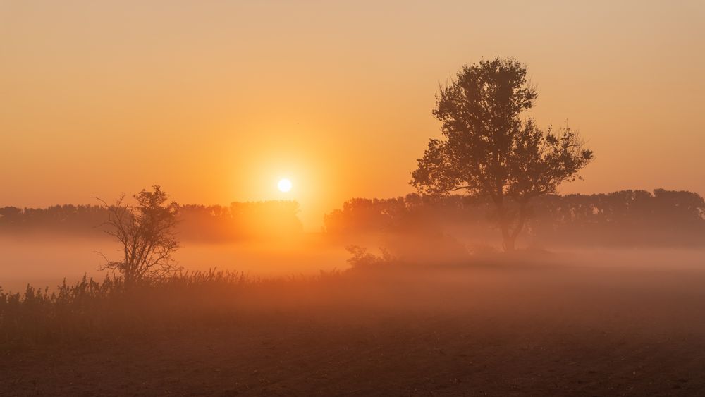 Der Herbst naht 