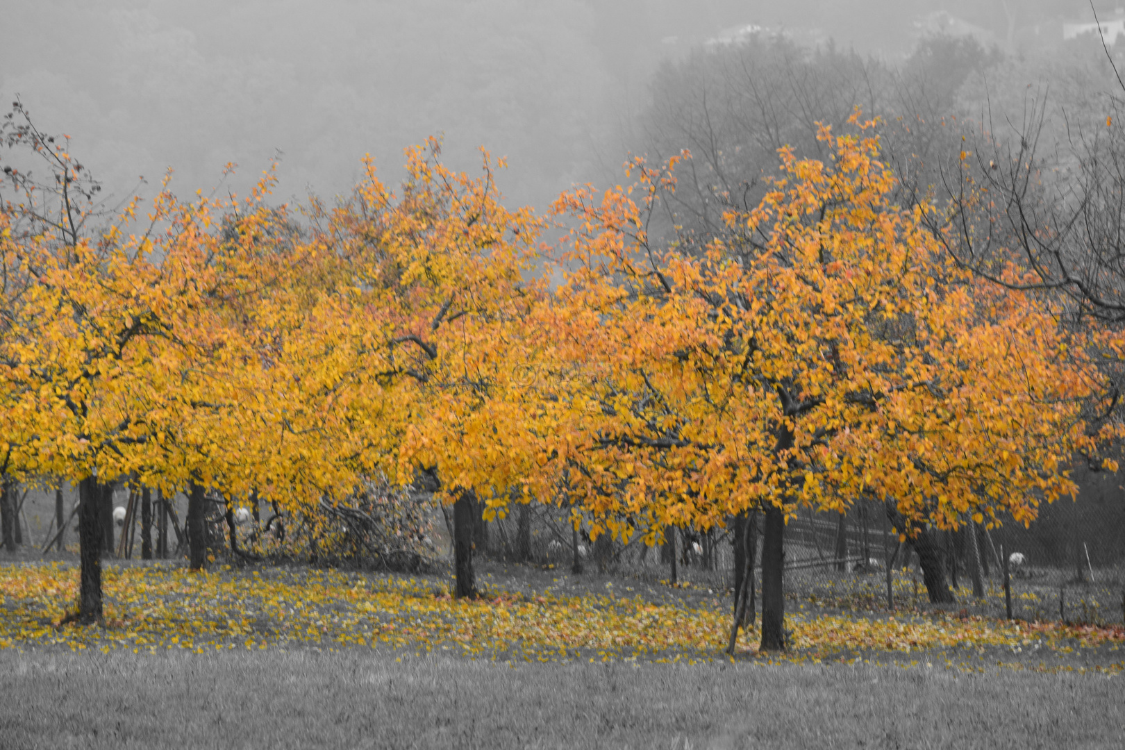 Der Herbst naht