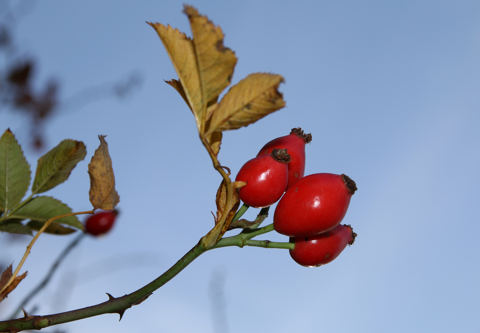 Der Herbst naht