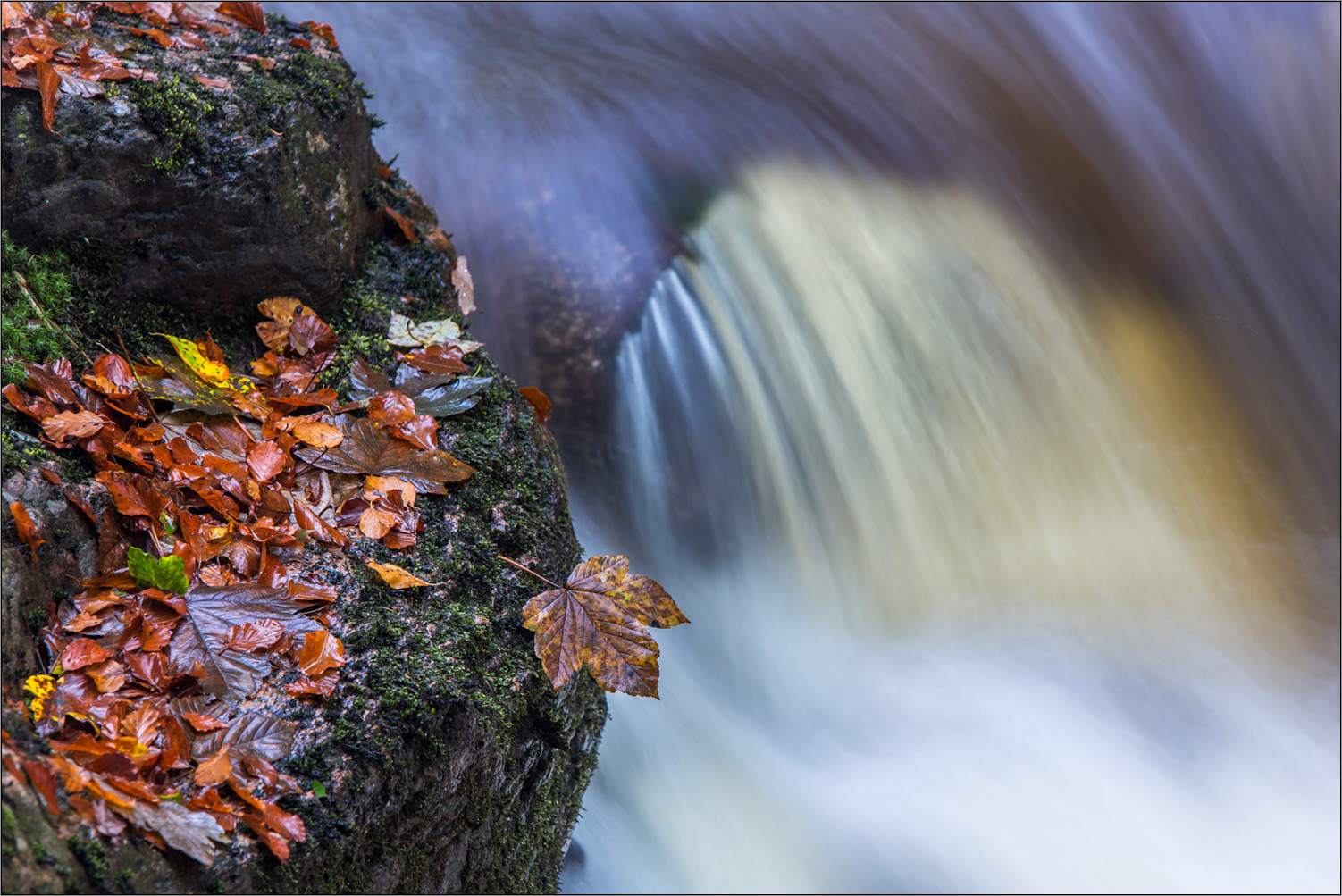 der herbst naht