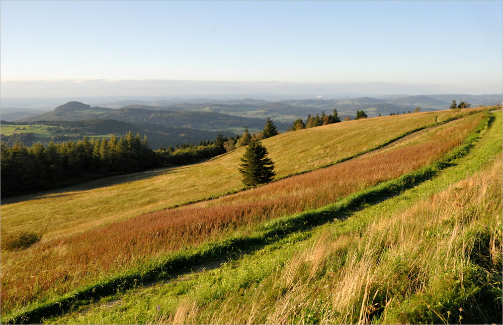 der Herbst naht...